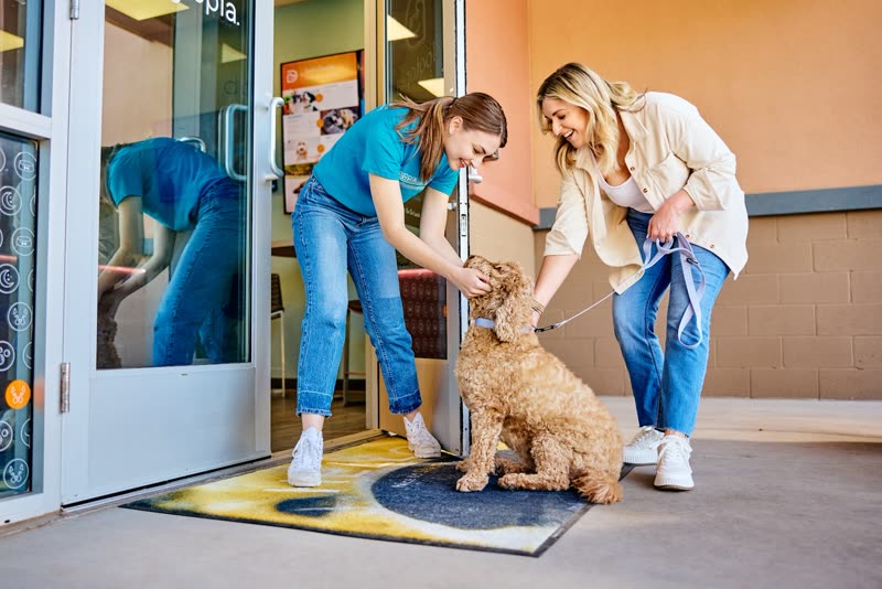 A staff member in blue scrubs greeting a curly apricot doodle at the daycare's glass entrance door as the owner hands over the leash